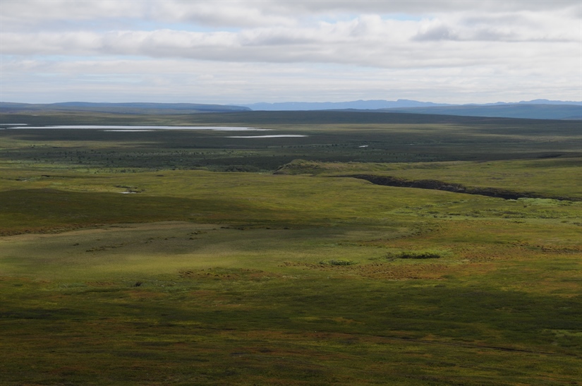 Norsk arktisk tundra trues av klimaendringer